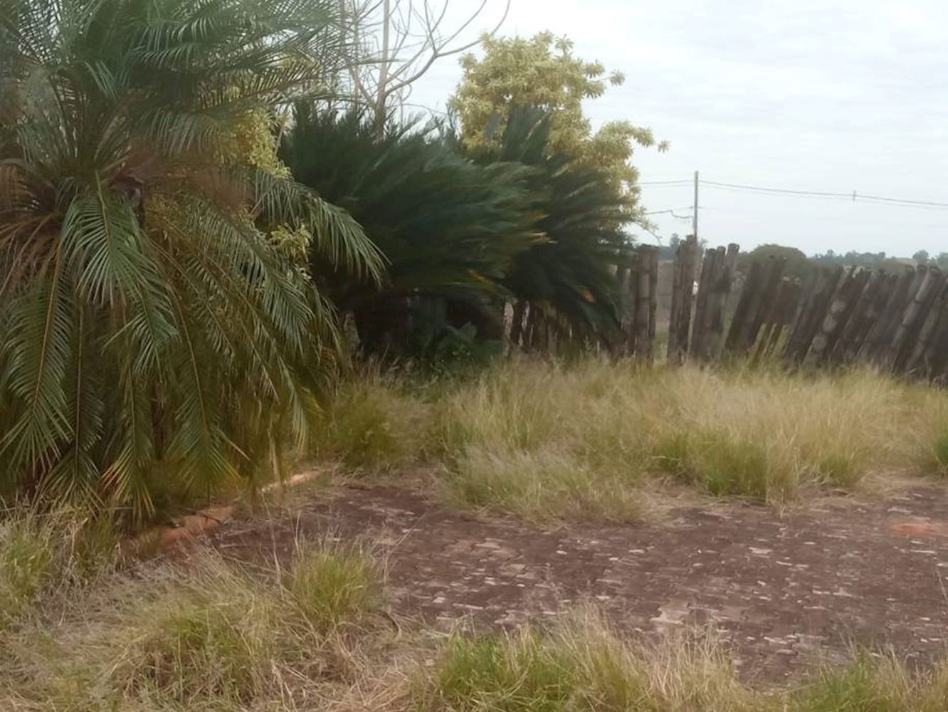 Terreno, Parque Residencial Viva em Pérola, PR — foto 3 de 8