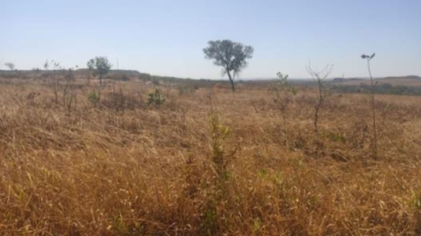 Terreno, Cidade Industrial de Luziânia em Luziânia, GO — foto 2 de 8