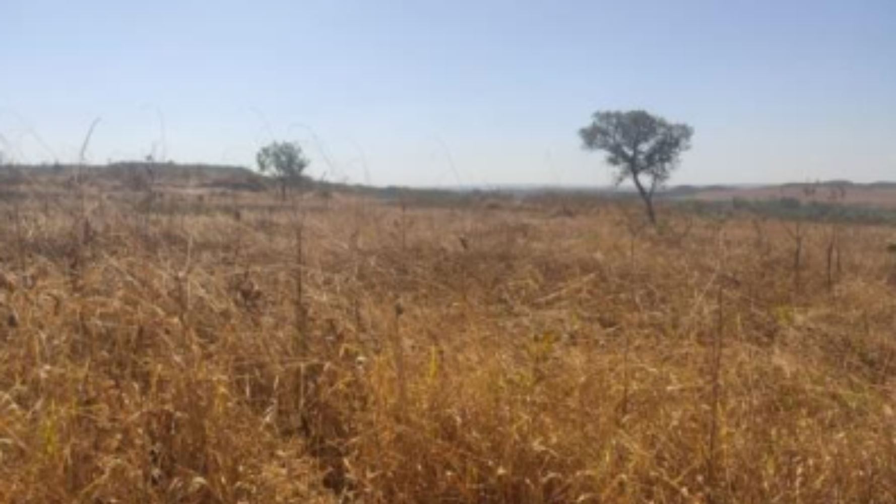 Terreno, Cidade Industrial de Luziânia em Luziânia, GO — foto 3 de 8