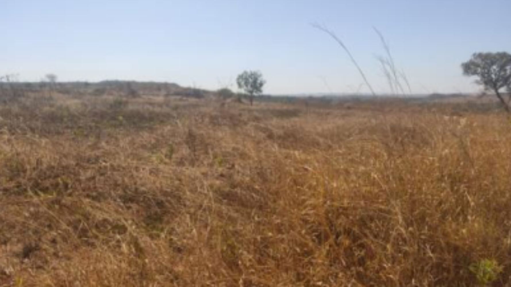 Terreno, Cidade Industrial de Luziânia em Luziânia, GO — foto 4 de 8
