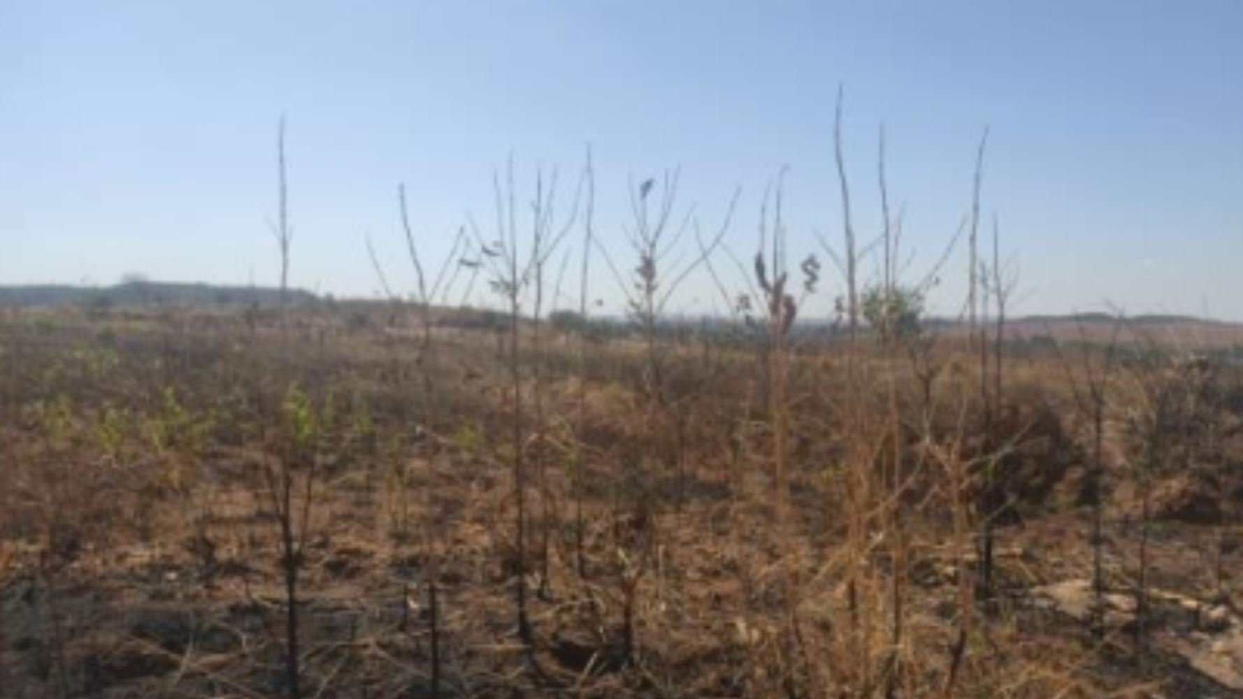 Terreno, Cidade Industrial de Luziânia em Luziânia, GO — foto 5 de 8