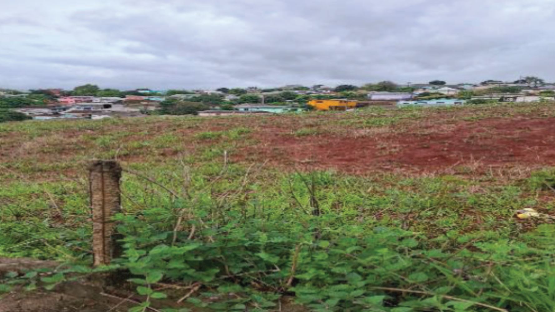 Terreno, Vista Alegre em Palmeira das Missões, RS — foto 3 de 5