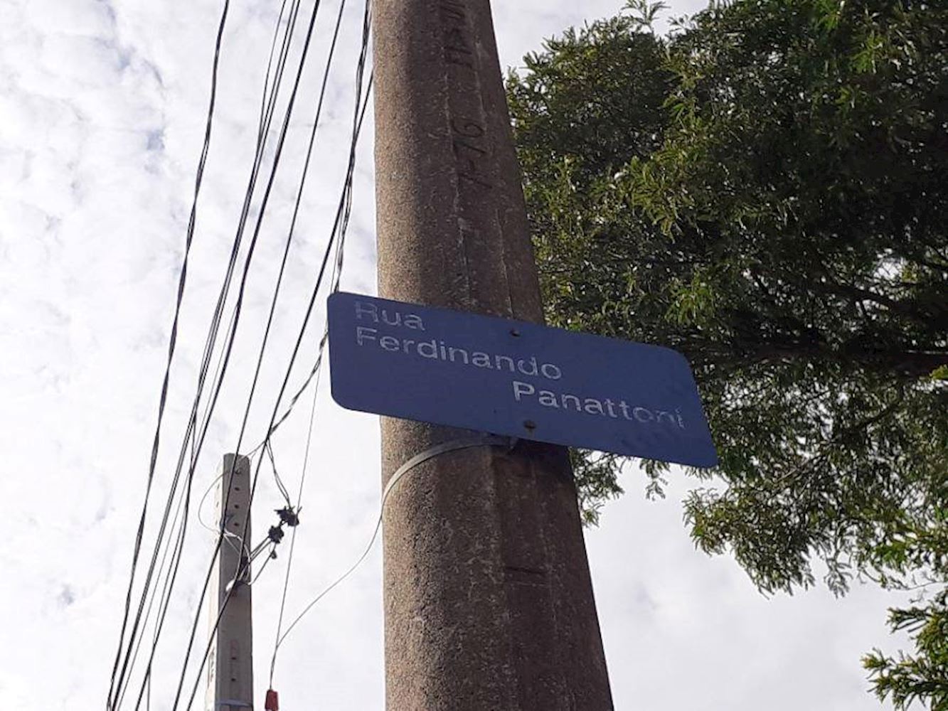 Apartamento, Jardim Paulicéia em Campinas, SP — foto 6 de 8