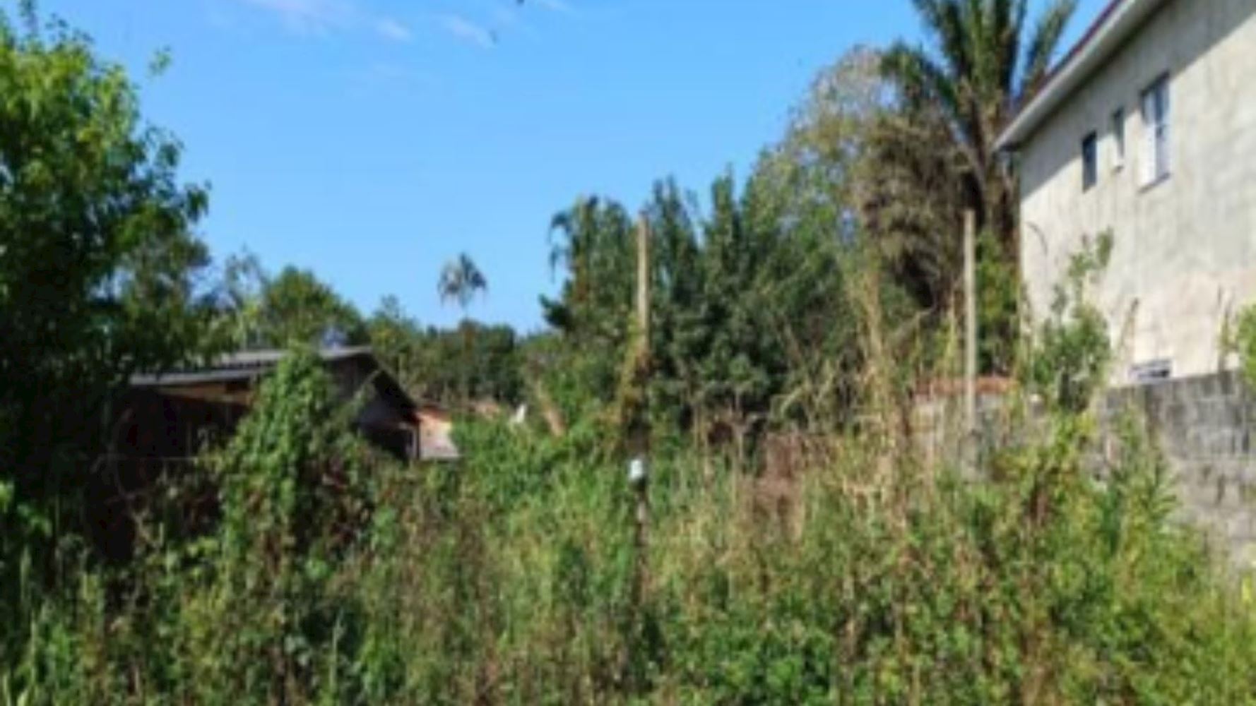 Terreno, Vila Nossa Senhora dos Navegantes em Cananéia, SP — foto 2 de 5