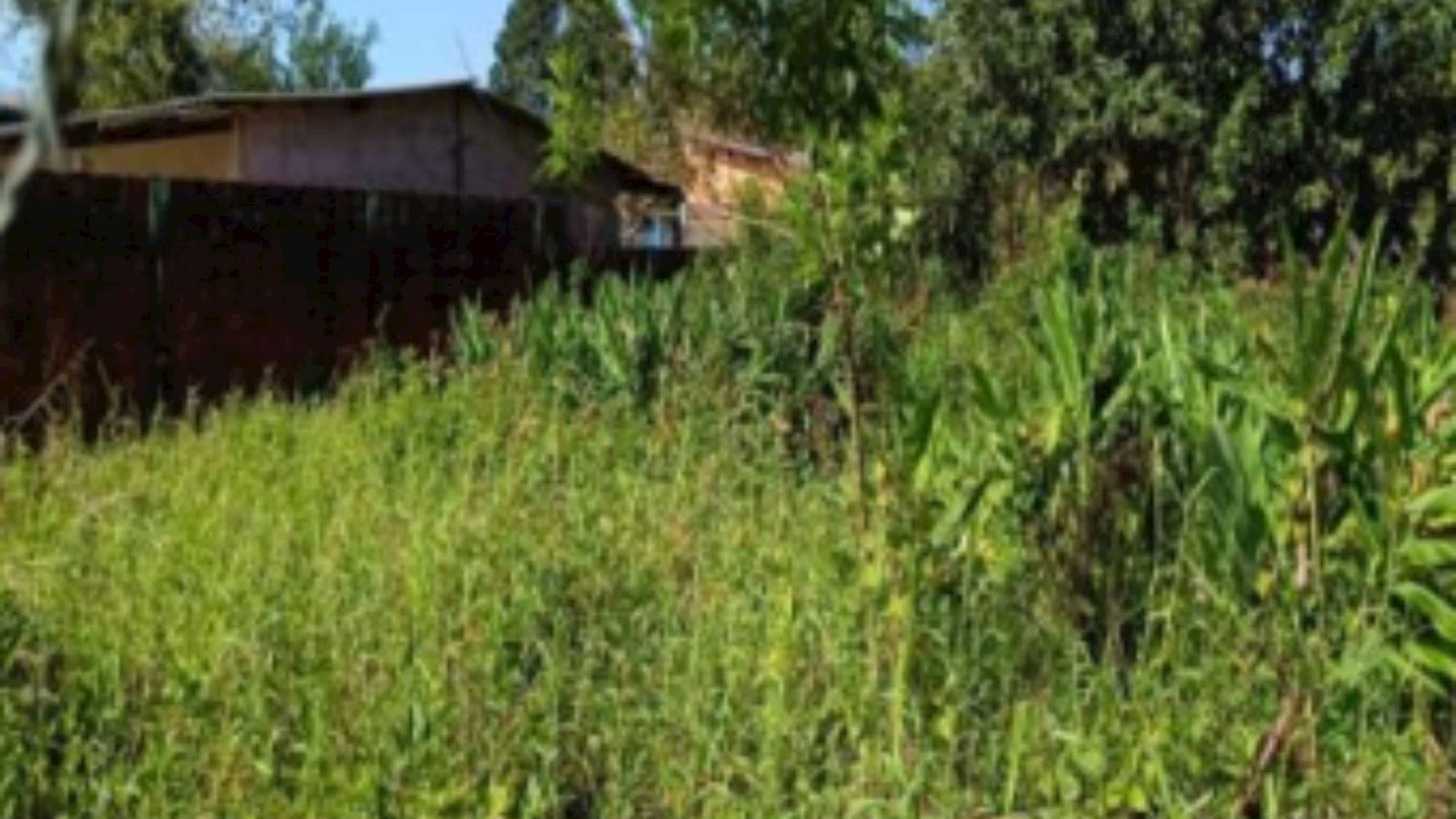 Terreno, Vila Nossa Senhora dos Navegantes em Cananéia, SP — foto 3 de 5