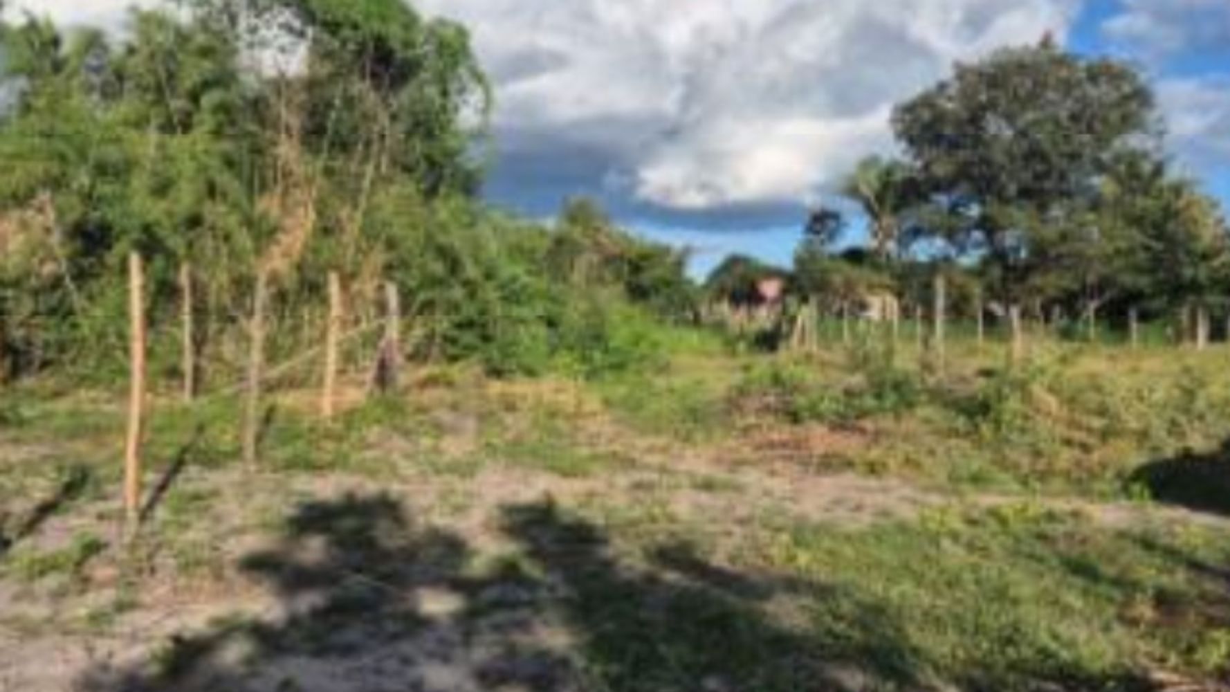 Terreno, Recanto dos Pássaros em Chapadinha, MA — foto 3 de 5