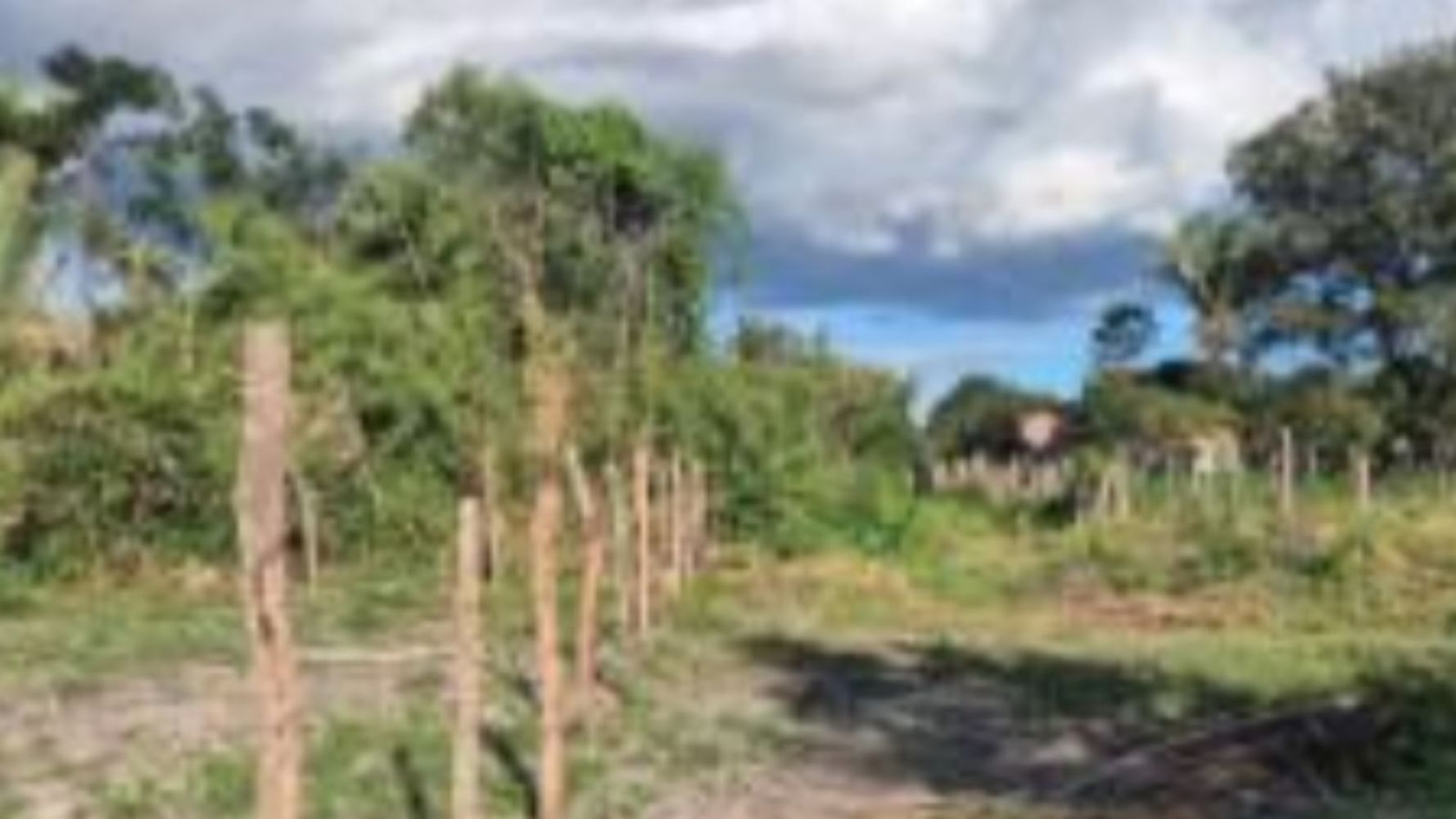 Terreno, Recanto dos Pássaros em Chapadinha, MA — foto 4 de 5