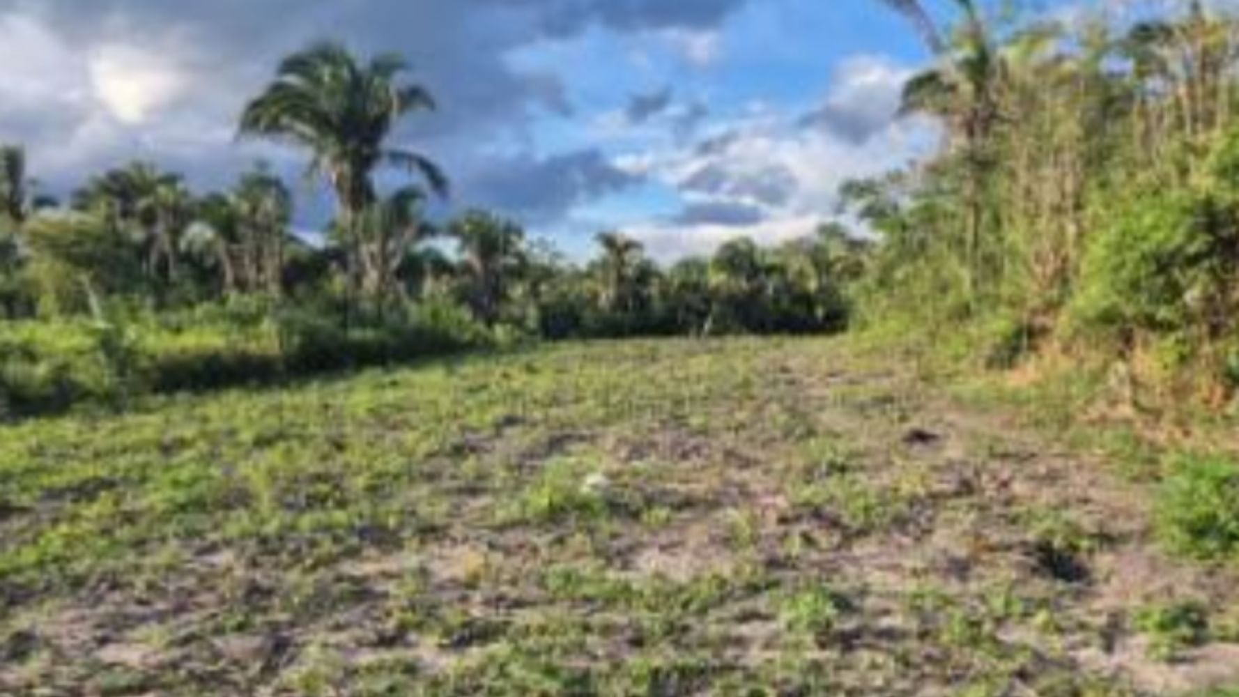 Terreno, Recanto dos Pássaros em Chapadinha, MA — foto 5 de 5