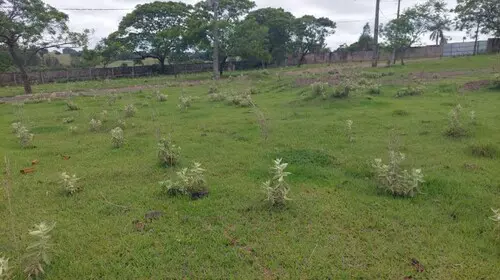Imóvel, Parque Residencial Viva em Pérola, PR — foto 3 de 8
