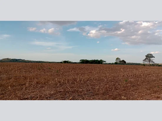 Terreno em Nova Guarita, MT