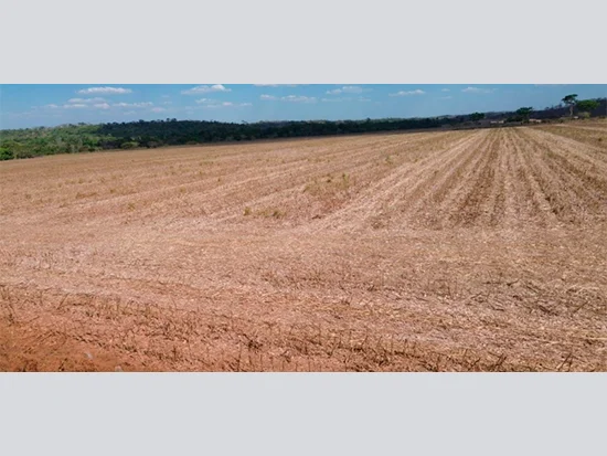 Terreno em Matupá, MT
