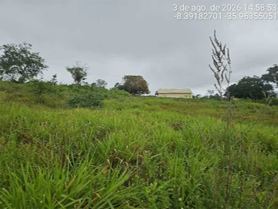 Terreno em Agrestina, PE — foto 6 de 8