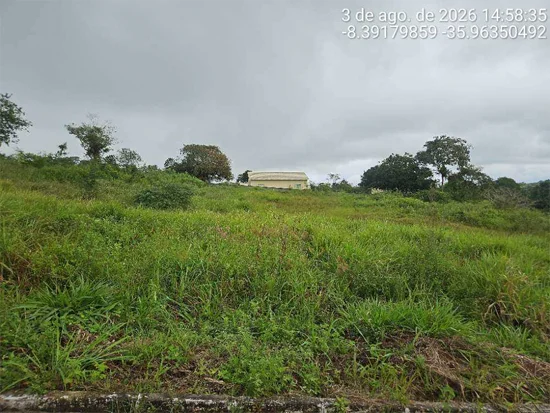 Terreno em Agrestina, PE — foto 5 de 8