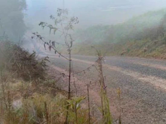 Terreno em Paula Freitas, PR — foto 6 de 8