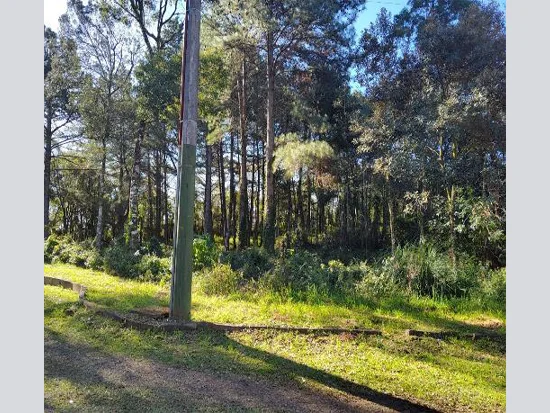 Terreno em Gramado, RS — foto 3 de 8