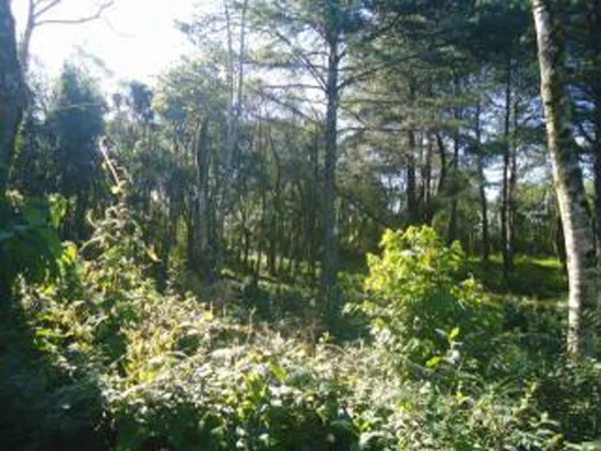 Terreno em Gramado, RS — foto 2 de 8