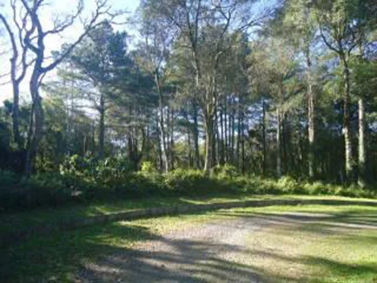 Terreno em Gramado, RS — foto 6 de 8