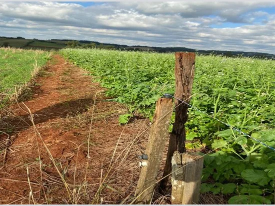 Terreno em Campina das Missões, RS — foto 5 de 8