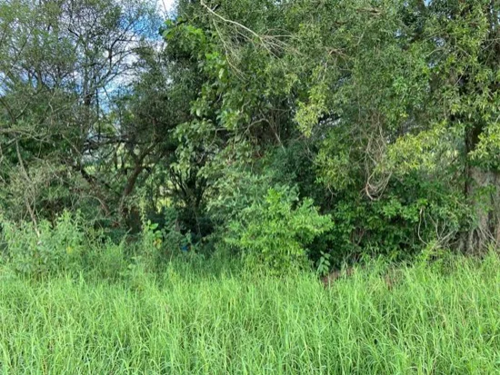 Terreno em Campina das Missões, RS — foto 4 de 8