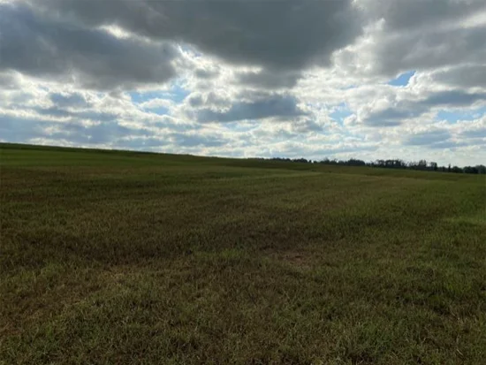 Terreno em Campina das Missões, RS — foto 8 de 8