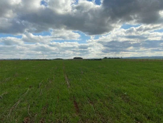 Terreno em Campina das Missões, RS — foto 6 de 8