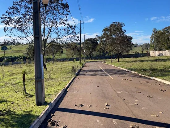 Imóvel em Pérola, PR — foto 5 de 8