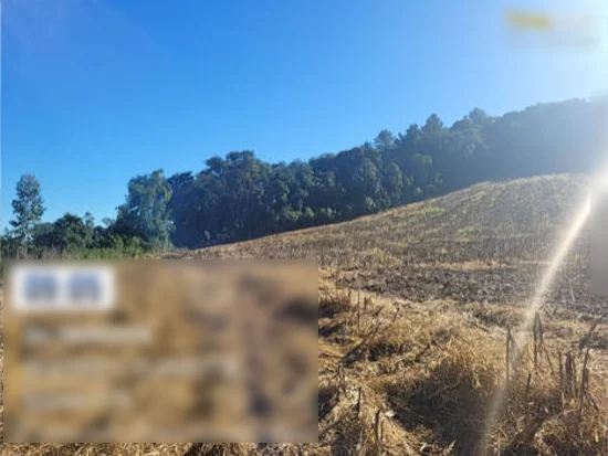 Terreno em Paráí, RS — foto 5 de 8