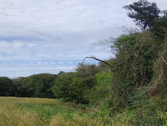 Terreno em Santo Ângelo, RS — foto 2 de 5