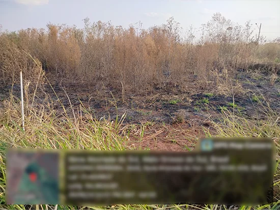 Terreno em Nova Alvorada do Sul, MS — foto 2 de 4