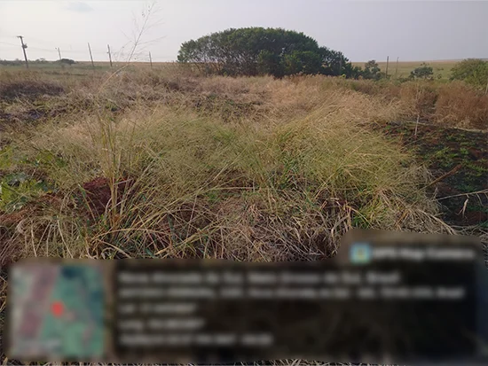 Terreno em Nova Alvorada do Sul, MS — foto 3 de 3