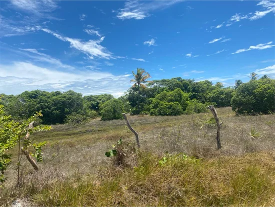 Terreno em Itaporanga D'ajuda, SE — foto 2 de 2