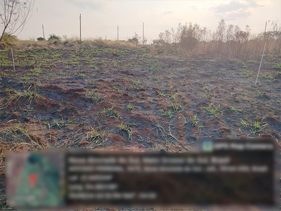 Terreno em Nova Alvorada do Sul, MS — foto 2 de 4
