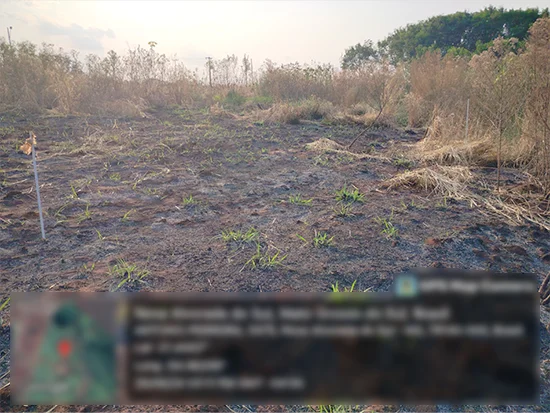 Terreno em Nova Alvorada do Sul, MS — foto 3 de 4