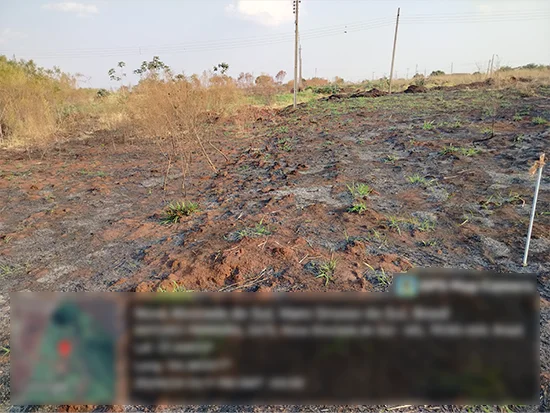 Terreno em Nova Alvorada do Sul, MS — foto 4 de 4
