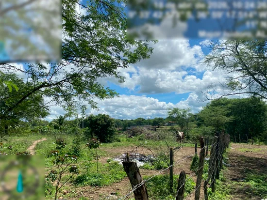 Terreno em Major Isidoro, AL — foto 4 de 6