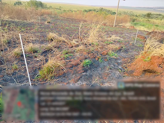Terreno em Nova Alvorada do Sul, MS — foto 2 de 4