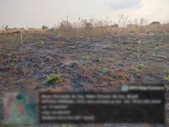 Terreno em Nova Alvorada do Sul, MS — foto 3 de 4