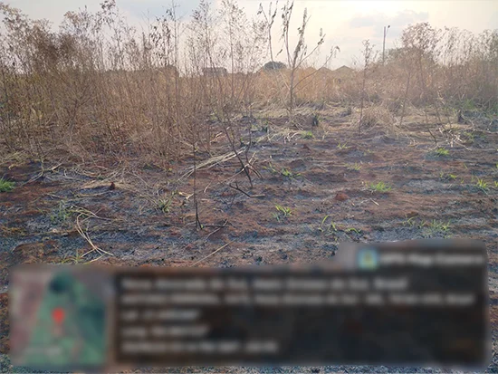 Terreno em Nova Alvorada do Sul, MS — foto 4 de 4