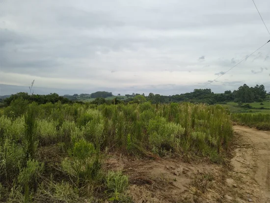 Imóvel em Canguçu, RS — foto 5 de 7