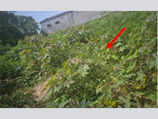 Terreno em Pedro Osório, RS — foto 4 de 7
