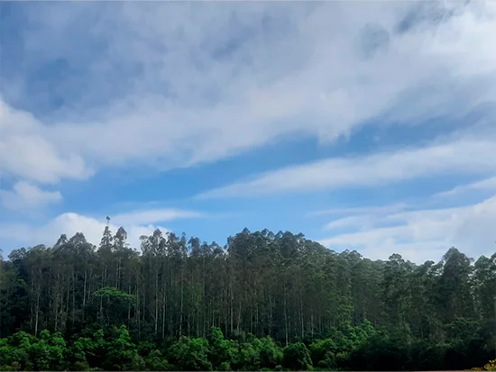 Terreno em Rio do Campo, SC