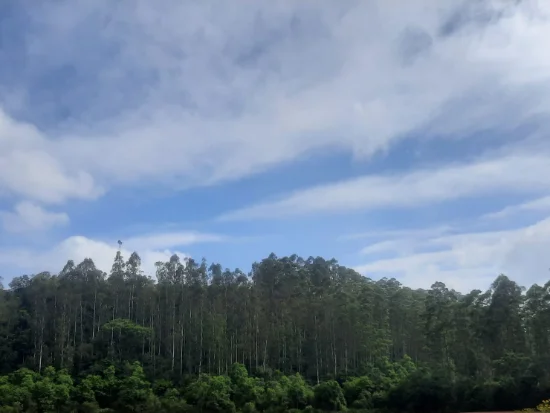 Terreno em Rio do Campo, SC — foto 2 de 3