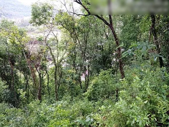 Terreno em Encantado, RS — foto 8 de 8