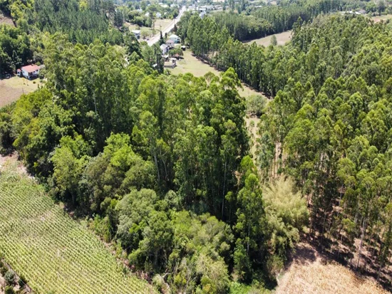 Terreno em Encantado, RS — foto 8 de 8