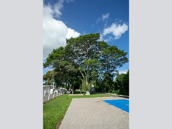 Casa em Viamão, RS — foto 6 de 8
