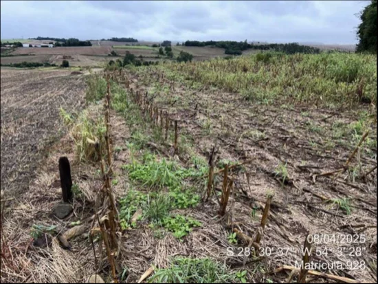Imóvel em Maçambará, RS — foto 3 de 8