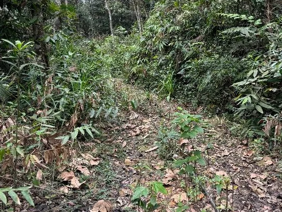 Terreno em Brusque, SC — foto 7 de 8