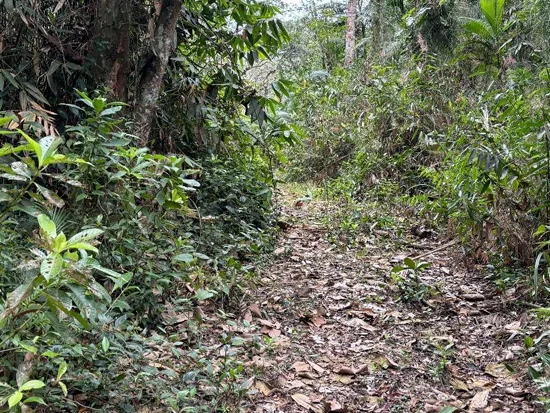 Terreno em Brusque, SC — foto 4 de 8