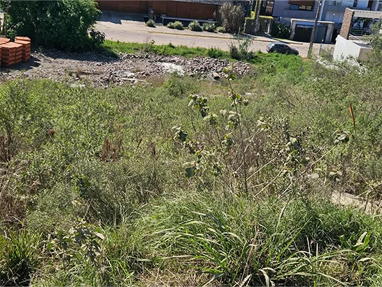 Terreno em Santana do Livramento, RS — foto 4 de 5