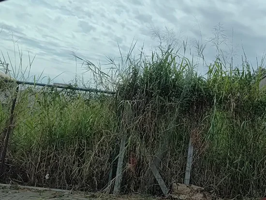 Terreno em Igrejinha, RS — foto 3 de 3